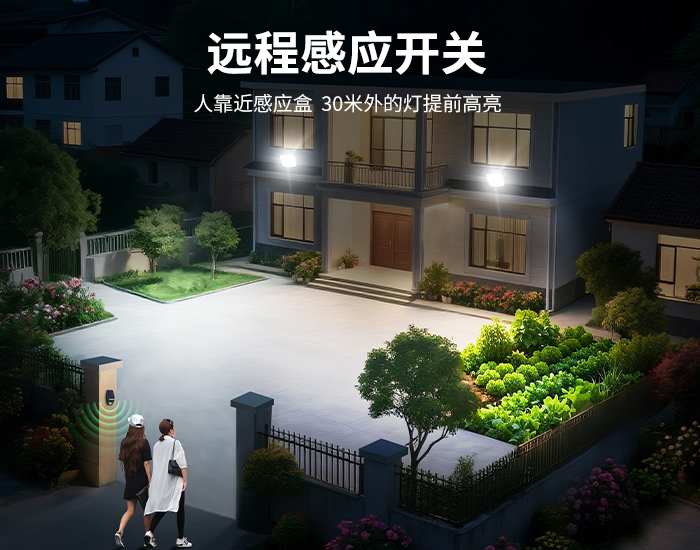 700x550感应亮霸详情2.jpg